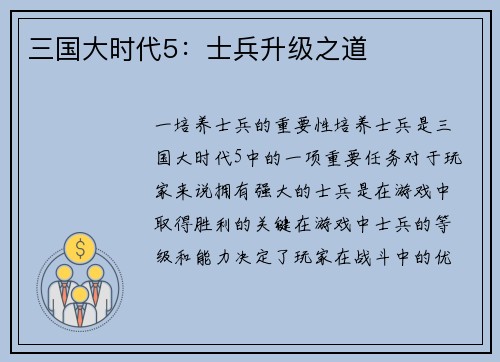三国大时代5：士兵升级之道