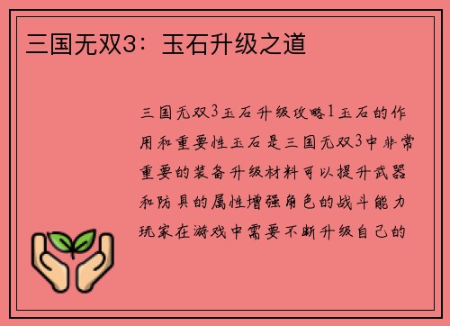 三国无双3：玉石升级之道