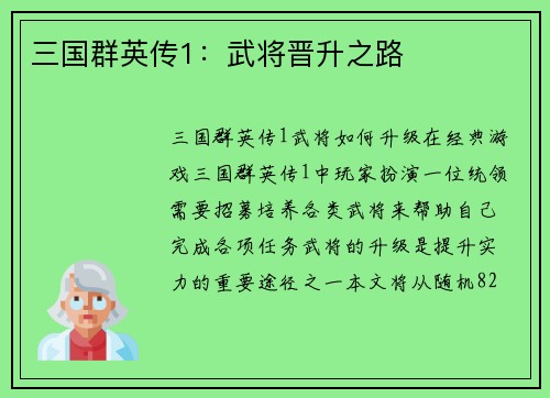 三国群英传1：武将晋升之路
